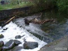 Kliknutím fotografii zvětšíte Lučina1P