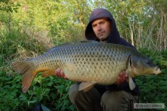 Kliknutím fotografii zvětšíte 12 kg