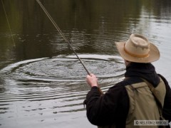 Kliknutím fotografii zvětšíte Potapěč