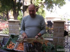 Kliknutím fotografii zvětšíte štička 66cm