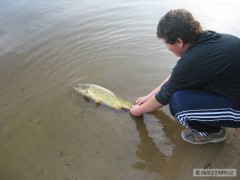 pou�ten� kapra (69)