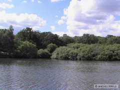 Kliknutím fotografii zvětšíte London river