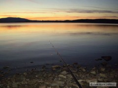 LIPNO