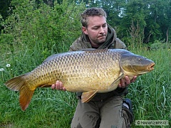 zlatka