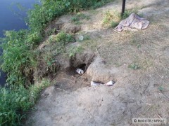 Douf�m,�e je aspo� r�no bolela hlava.