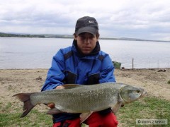Kliknutím fotografii zvětšíte Rani Bolen 77cm