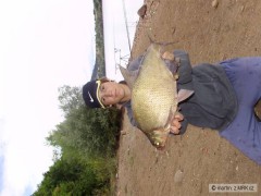 Kliknutím fotografii zvětšíte Cejn Velky 57cm