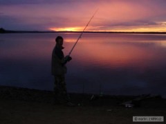Kliknutím fotografii zvětšíte Jara