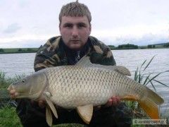 Carp