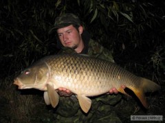 Kliknutím fotografii zvětšíte 80cm 8kg