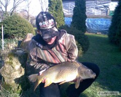 kapr62cm