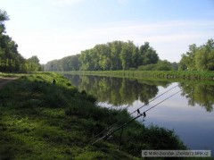 Kliknutím fotografii zvětšíte Ráno-Labe