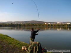Kliknutím fotografii zvětšíte Parabolická akce feederu