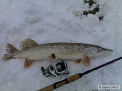 Kliknutím fotografii zvětšíte