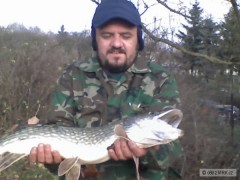 �tika15.11.2008