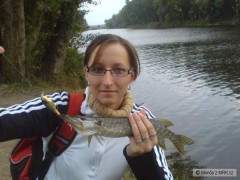 Štika