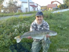 cand�t obecn�
