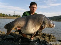 Kliknutím fotografii zvětšíte Biela pani 25KG