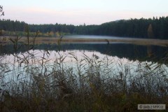 Kliknutím fotografii zvětšíte Chovný rybník u Hradčan