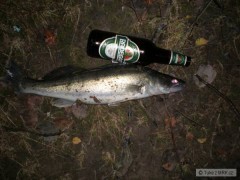 Kliknutím fotografii zvětšíte Radek