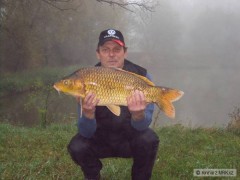 Kliknutím fotografii zvětšíte skalky 2008