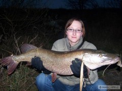 Kliknutím fotografii zvětšíte 29.11.08 ( 89cm ) podruhé