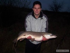 Kliknutím fotografii zvětšíte 29.11.08 ( 89cm ) potřetí