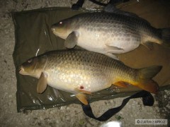 Kliknutím fotografii zvětšíte