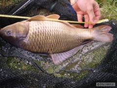 Kliknutím fotografii zvětšíte