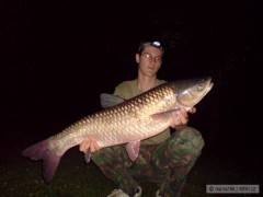 Kliknutím fotografii zvětšíte amur 87cm, 9kg.