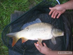 Kliknutím fotografii zvětšíte