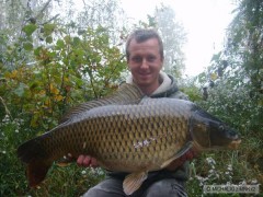 Kliknutím fotografii zvětšíte kapor 84cm 11.5kg