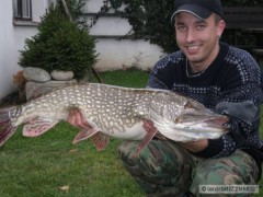 Kliknutím fotografii zvětšíte štika 102 cm/9kg