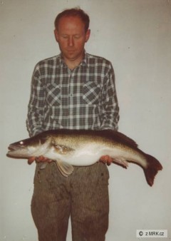 Cand�t, 90 cm
