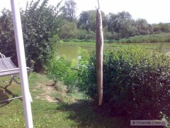 Kliknutím fotografii zvětšíte Úhoř /letošní úlovek/
