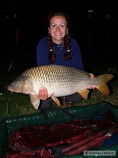 Kliknutím fotografii zvětšíte 85 cm 10.5 kg