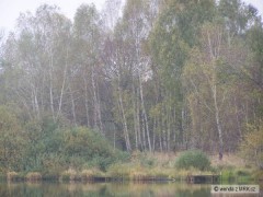 Kliknutím fotografii zvětšíte