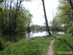Kliknutím fotografii zvětšíte