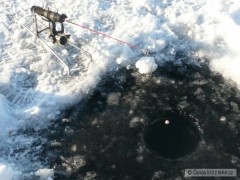 Kliknutím fotografii zvětšíte na dírkách KŘÍDLA
