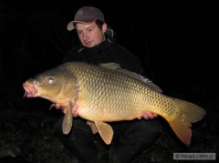 Kliknutím fotografii zvětšíte prosinec08
