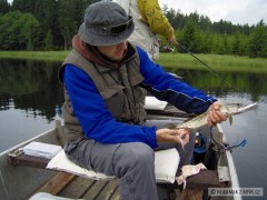 Kliknutím fotografii zvětšíte Lipno4