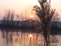 Kliknutím fotografii zvětšíte