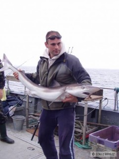Kliknutím fotografii zvětšíte Atlantický oceán, Irsko