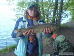 Kliknutím fotografii zvětšíte amur 45cm