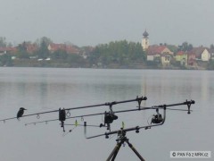Kliknutím fotografii zvětšíte lednaček