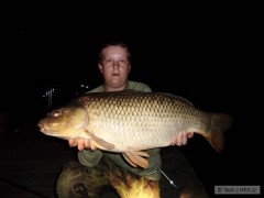 Kapr 17kg ...