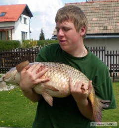 Kliknutím fotografii zvětšíte To je macek....