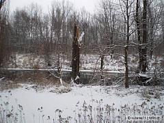 Kliknutím fotografii zvětšíte Opava1