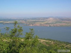 Kliknutím fotografii zvětšíte D5