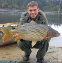 Kliknutím fotografii zvětšíte Kapr obecný 73 cm